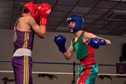 Sport, Boxe, Gala 2025