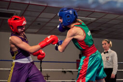 Sport, Boxe, Gala 2025