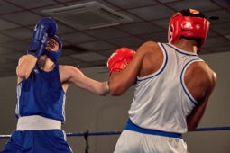 Sport, Boxe, Gala 2025