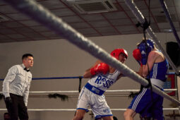 Sport, Boxe, Gala 2025