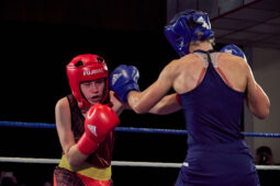 Sport, Boxe, Gala 2025