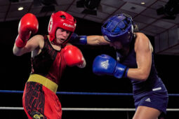 Sport, Boxe, Gala 2025