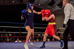 Sport, Boxe, Gala 2025