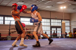 Sport, Boxe, Gala 2025