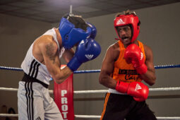 Sport, Boxe, Gala 2025