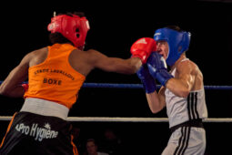 Sport, Boxe, Gala 2025