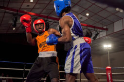 Sport, Boxe, Gala 2025