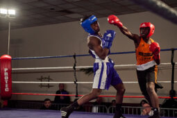 Sport, Boxe, Gala 2025