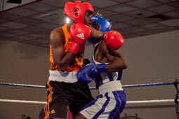 Sport, Boxe, Gala 2025