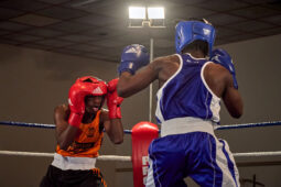 Sport, Boxe, Gala 2025