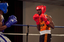 Sport, Boxe, Gala 2025