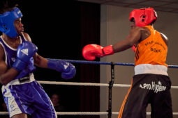 Sport, Boxe, Gala 2025