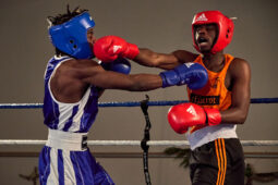 Sport, Boxe, Gala 2025