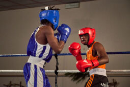 Sport, Boxe, Gala 2025