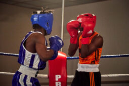 Sport, Boxe, Gala 2025