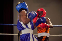 Sport, Boxe, Gala 2025