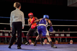 Sport, Boxe, Gala 2025