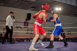 Sport, Boxe, Gala 2025