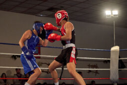 Sport, Boxe, Gala 2025
