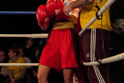 Sport, Boxe, Gala 2025