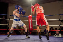 Sport, Boxe, Gala 2025
