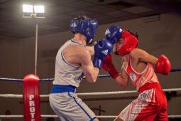 Sport, Boxe, Gala 2025
