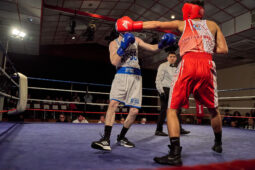 Sport, Boxe, Gala 2025