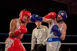 Sport, Boxe, Gala 2025