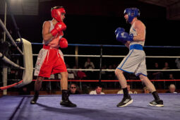 Sport, Boxe, Gala 2025