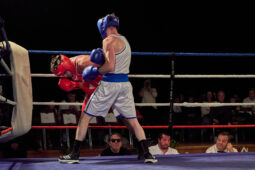 Sport, Boxe, Gala 2025