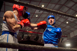 Sport, Boxe, Gala 2025