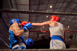 Sport, Boxe, Gala 2025