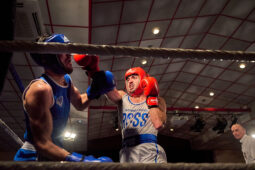 Sport, Boxe, Gala 2025