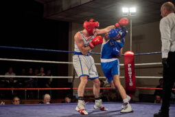 Sport, Boxe, Gala 2025