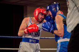Sport, Boxe, Gala 2025