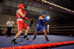 Sport, Boxe, Gala 2025