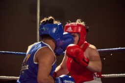 Sport, Boxe, Gala 2025