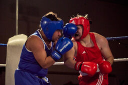 Sport, Boxe, Gala 2025