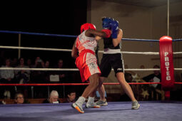 Sport, Boxe, Gala 2025