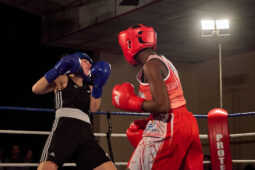 Sport, Boxe, Gala 2025