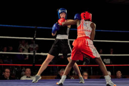 Sport, Boxe, Gala 2025