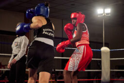 Sport, Boxe, Gala 2025