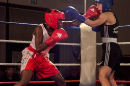 Sport, Boxe, Gala 2025