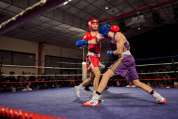 Sport, Boxe, Gala 2025
