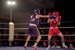 Sport, Boxe, Gala 2025