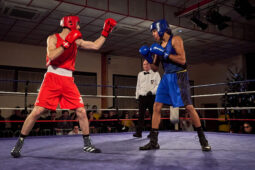 Sport, Boxe, Gala 2025