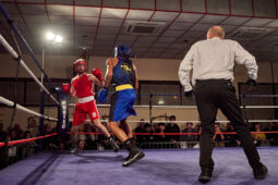 Sport, Boxe, Gala 2025