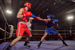Sport, Boxe, Gala 2025