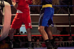Sport, Boxe, Gala 2025