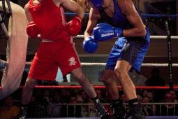Sport, Boxe, Gala 2025